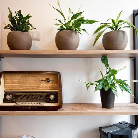 Balbis Choco Vendégház 3*